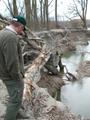 DSCN6032.jpg