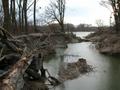 DSCN6033.jpg