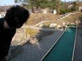 DSCN6133.jpg