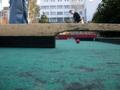 DSCN6140.jpg