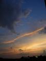 DSCN6817.jpg