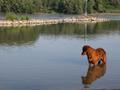 DSCN6835.jpg