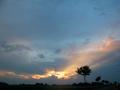 DSCN6858.jpg