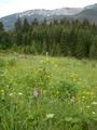 DSCN6870.jpg