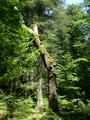 DSCN6890.jpg