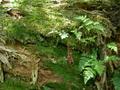 DSCN6894.jpg