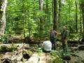 DSCN6908.jpg