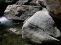 DSCN7121.jpg