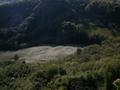 DSCN7974.jpg
