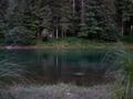 DSCN9491.jpg