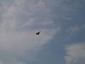 DSCN9604.jpg
