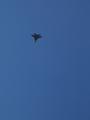 DSCN9671.jpg