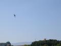 DSCN9673.jpg