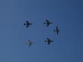 DSCN9686.jpg