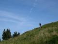DSCN9892.jpg