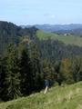 DSCN9893.jpg