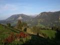 DSCN9929.jpg