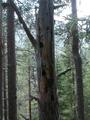 DSCN8010.jpg