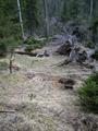 DSCN8024.jpg