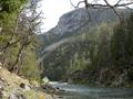 DSCN8040.jpg