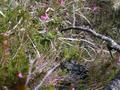 DSCN8043.jpg