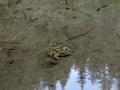 DSCN8055.jpg