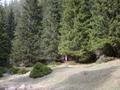 DSCN8057.jpg