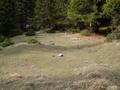 DSCN8058.jpg
