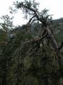 DSCN8063.jpg