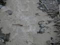 DSCN8081.jpg