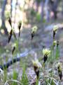 DSCN8129.jpg