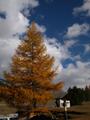 Fall in the National Park