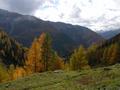 DSCN0010.jpg