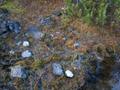 DSCN0085.jpg