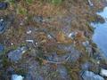 DSCN0086.jpg