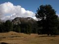 DSCN0116.jpg