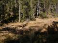 DSCN0128.jpg