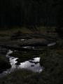 DSCN0137.jpg