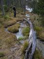 DSCN0153.jpg