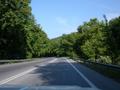 lush forests in Greece, the leftovers of the Greek and Roman empires?