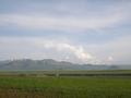 DSCN1287.jpg