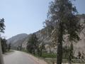 Nice forests prosper in an agreeable climate