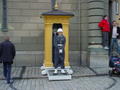 DSC00704.jpg