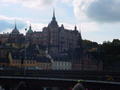 DSC00711.jpg