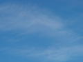 DSC00737.jpg