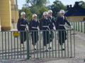 DSC00738.jpg