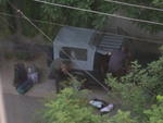 DSCN5462.jpg
