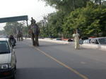 DSCN5474.jpg