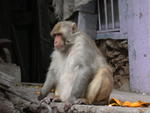 DSCN5510.jpg