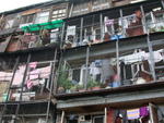 DSCN5506.jpg